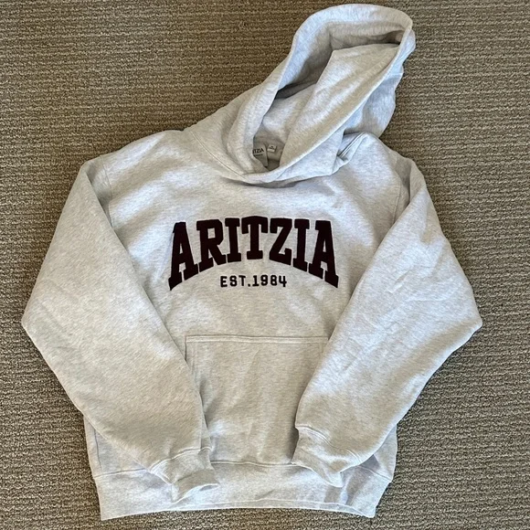 Aritzia Perfect Fit Hoodie - Picture 4 of 8